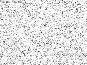 Caméra IP - États-Unis d'Amérique