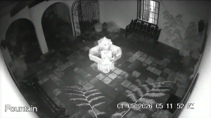 Caméra IP - United States of America