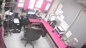 Caméra IP - Vereinigte Staaten von Amerika