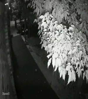 Caméra IP - Paraguay