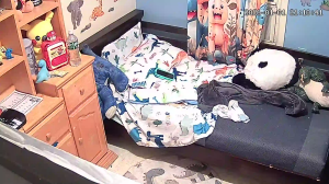 Caméra IP - United States of America