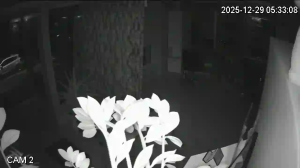 Caméra IP - Lituanie