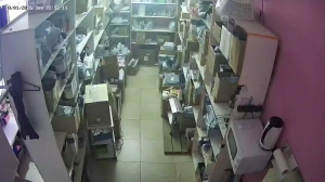 Caméra IP - Russian Federation