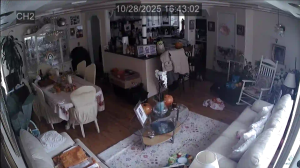 Caméra IP - Estados Unidos