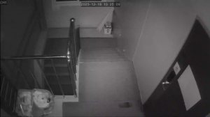 Caméra IP - South Korea