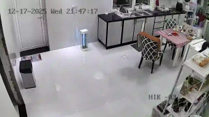 Caméra IP - Émirats Arabes Unis