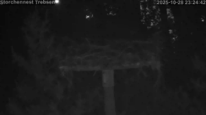 Caméra IP - Rumänien