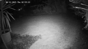 Caméra IP - Switzerland