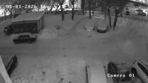 Caméra IP - Russian Federation