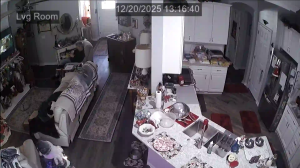 Caméra IP - Stati Uniti d'America