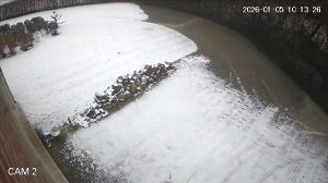 Caméra IP - Belgique