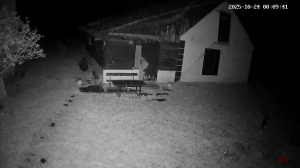 Caméra IP - Lettonia