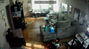 Caméra IP - États-Unis d'Amérique