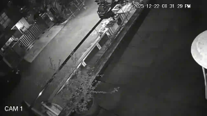 Caméra IP - Malaysia