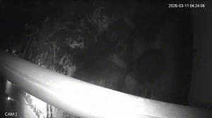 Caméra IP - Lituanie