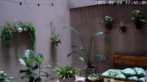 Caméra IP - Argentine