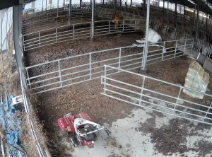 Caméra IP - República de Corea