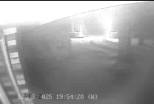 Caméra IP - États-Unis d'Amérique