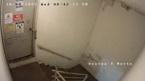 Caméra IP - Puerto Rico