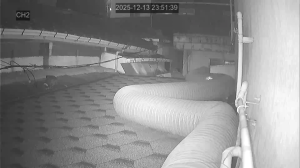 Caméra IP - Corée du Sud