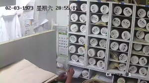 Caméra IP - Japan