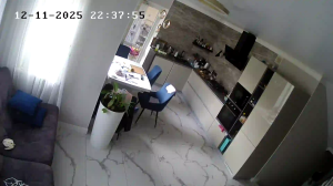 Caméra IP - Russian Federation