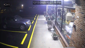 Caméra IP - United States of America