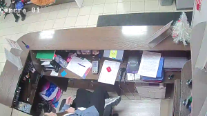 Caméra IP - Russische Föderation