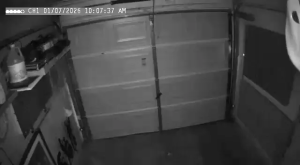 Caméra IP - Vereinigte Staaten von Amerika