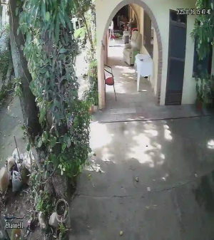 Caméra IP - Bolivie