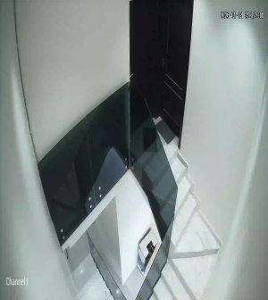 Caméra IP - Saudi Arabia