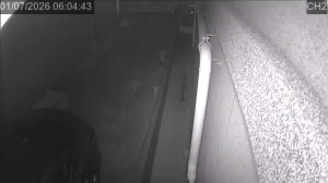 Caméra IP - South Korea