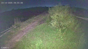 Caméra IP - Vietnam