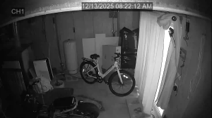 Caméra IP - États-Unis d'Amérique