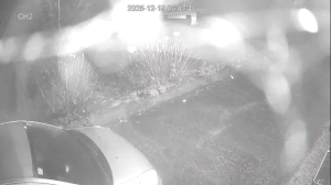 Caméra IP - United Kingdom