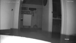 Caméra IP - United States of America