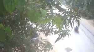 Caméra IP - Vietnam