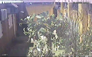 Caméra IP - Argentinien