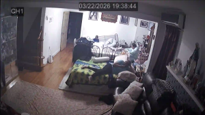 Caméra IP - United States of America