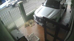 Caméra IP - Mexique