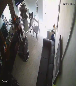 Caméra IP - United Arab Emirates