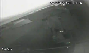 Caméra IP - Neuseeland