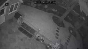 Caméra IP - Vereinigtes Königreich