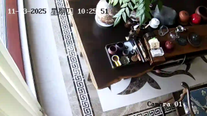 Caméra IP - People's Republic of China