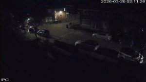 Caméra IP - Pays-Bas