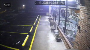 Caméra IP - United States of America