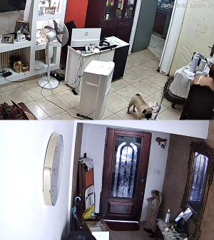 Caméra IP - Panama