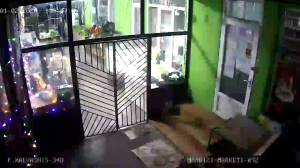 Caméra IP - Georgia