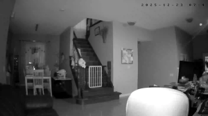 Caméra IP - États-Unis d'Amérique