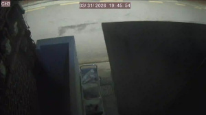 Caméra IP - South Korea